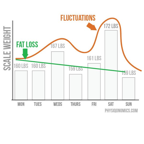 Fat loss - Fluctuations graphical representation