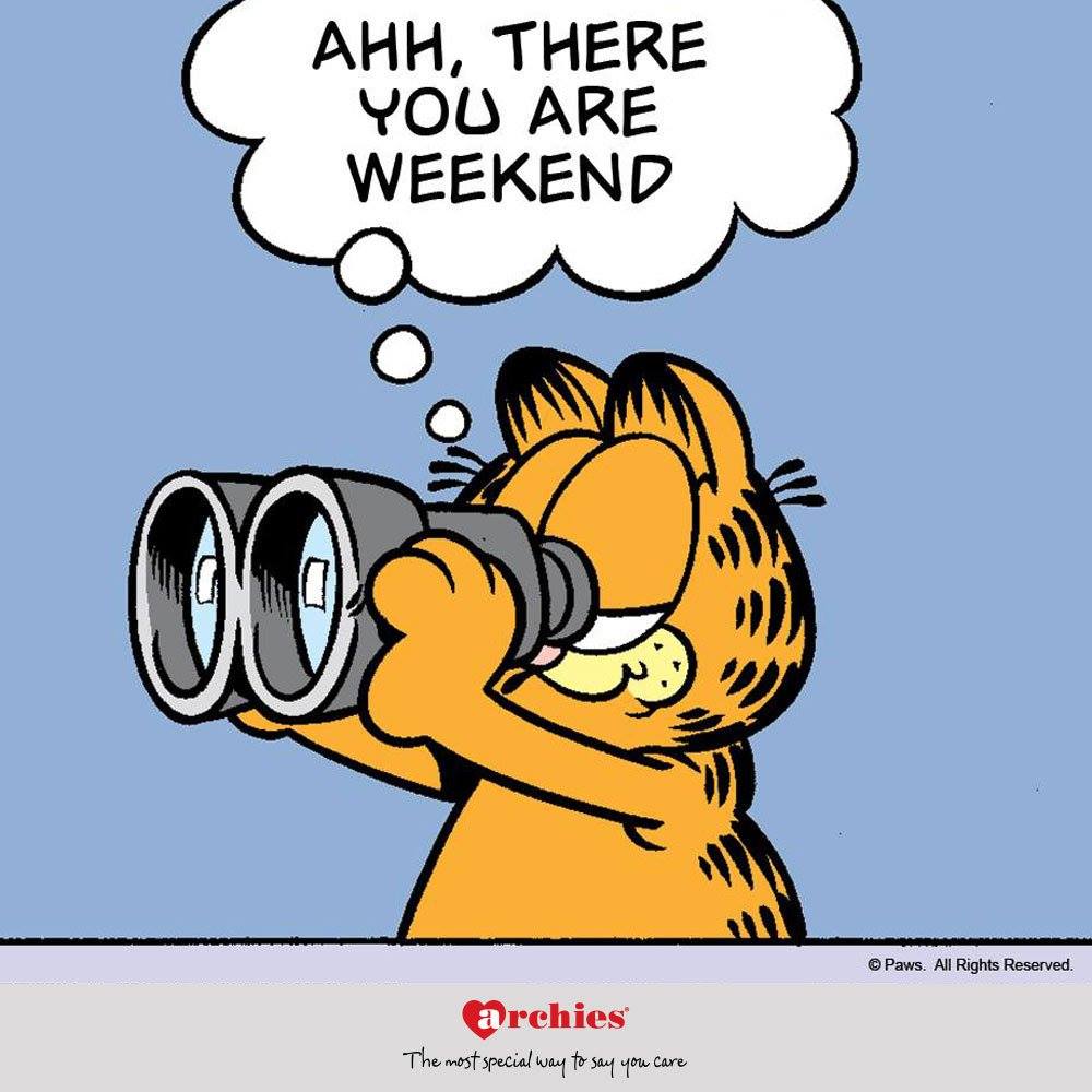 weekends garfield